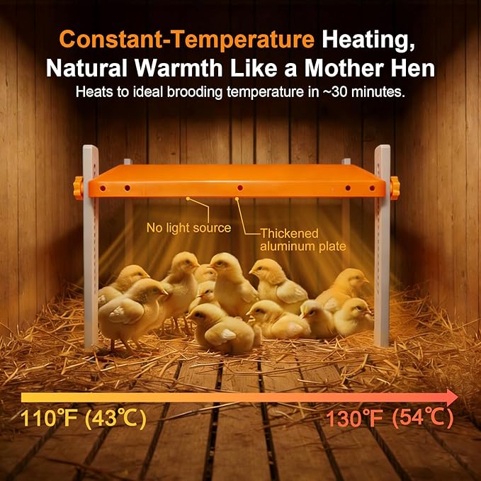 Chick Brooder Heating Plate, Briidea 80W Brooder Heater with 110–130℉ Constant Heat, Energy-Efficient, Adjustable Height & Angle, 10 PET Cleaning Film, Warmth Like Hen, 10" x 10" for 15 Small Poultry