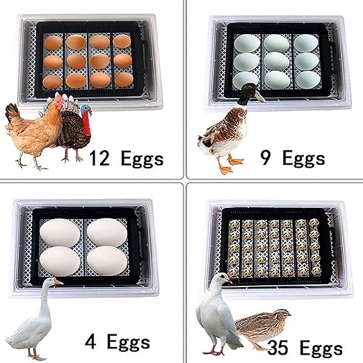 Egg Incubator with Automatic Turning, Digital Poultry Hatcher for 12-35 Eggs, Egg Candling, Temperature Control for Chickens, Ducks, and Quails