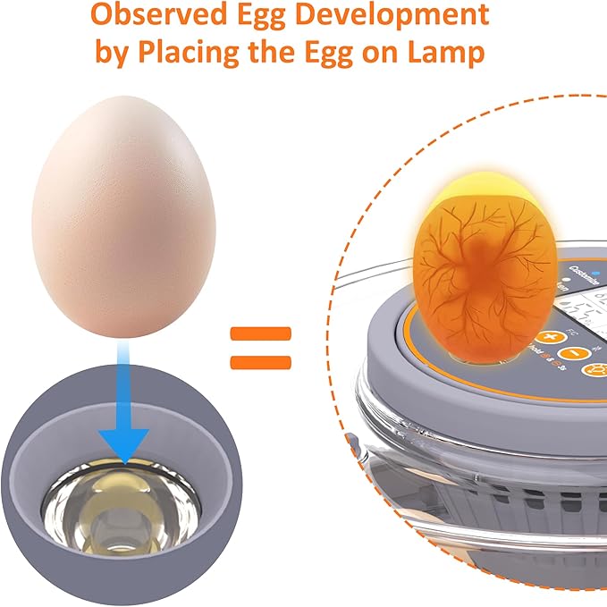 12 Incubators for Hatching Eggs, Egg Incubator with Automatic Egg Turning and Humidity Control, Intelligent Egg Incubator with Automatic Temp. Adjustment