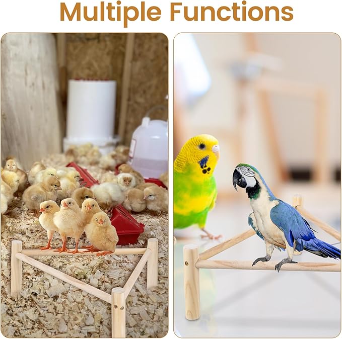 Chicken Strong Wooden Roosting Bar, Strong Roosting Bar for Brooder, Chick Wooden Perch 16.5 × 6.2 Inch Training Chicken Stand Toy for Bird Parrots Macaw