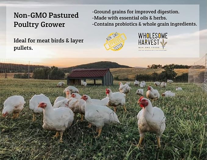 Non-GMO Pastured Poultry Grower 19% for Growing Chickens and Ducks - 10 lbs