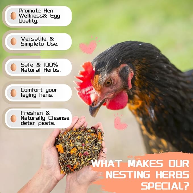 18oz Premium Nesting Herbs | Chickens Coop & Nesting Box Odor Control | 8 Natural Dried Herbs Blend for Hen Comfort, Coop Freshness & Egg Laying Support, Poultry Treats & Coop Accessories