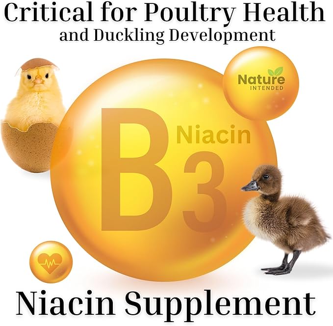 Health Multiplier Brewer's Yeast for Ducks, Chicken Probiotic, Niacin for Ducks, Chicken Vitamins, Chick Probiotics, Baby Chick Food, Duckling Supplies, Duck Niacin Supplement (Case of 32 Jars)