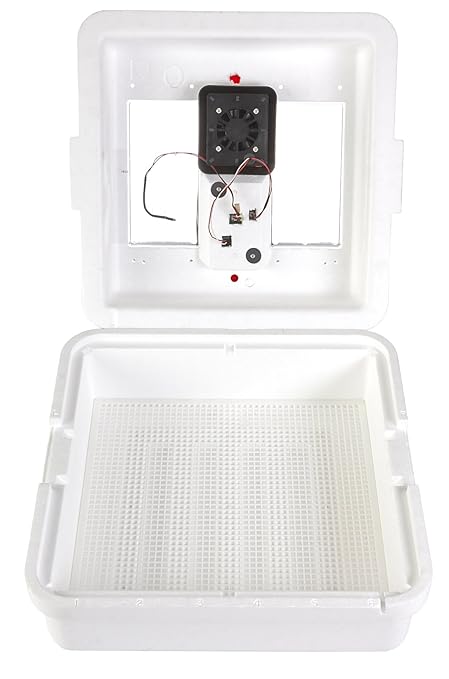 Little Giant® Digital Circulated Air Incubator | 41 Eggs | Egg Incubator with Fan, Temperature and Humidity Control | Hatching Eggs