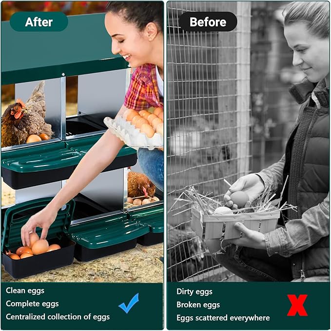 Chicken Nesting Boxes, 8 Holes Metal Chicken Egg Laying Box with Swing Perch and Rollout Egg Collection,for Various Chicken Breeds with Stand - Green 0.7mm