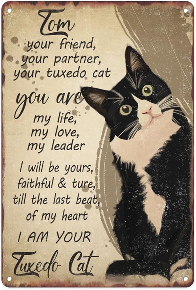 Black Cat Metal Sign I Am Your Friend Your Partner Your Cat You Are My Life Tin Sign For Home Office Living Room Bar Cafe Club Wall Decor Hanging Painting 12 X 8 Inch