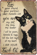 Black Cat Metal Sign I Am Your Friend Your Partner Your Cat You Are My Life Tin Sign For Home Office Living Room Bar Cafe Club Wall Decor Hanging Painting 12 X 8 Inch