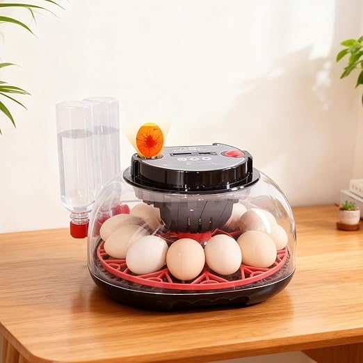 12 Eggs Incubator with Humidity Display and Candler, Automatic Egg Turner, for Hatching Chickens