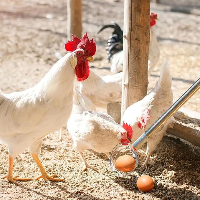Egg Scooper Tool for Chicken coop,107cm / 42.13 inch Egg Grabber for Chicken Eggs,Multifunctional Peanut, Nut and Potato Grabber。
