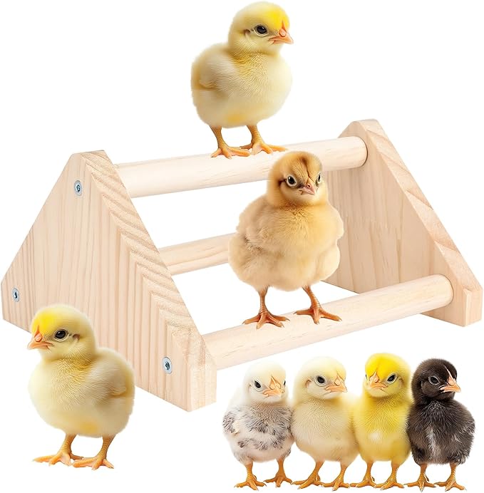 Chicken Roosting Perch - Chicken Coop Accessories & Supplies for Chicks - Natural Solid Pine Wood, Hand - Polished - Ideal Roosting Toy for Birds, Chicks & Parrots