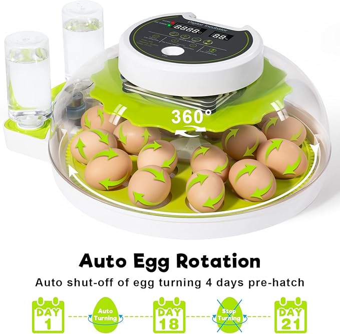 18 Egg Incubator with Automatic Turning & Humidity Control, 0.1 Precision for Chicken/Duck/Goose/Quail/Parrot Eggs (Green)