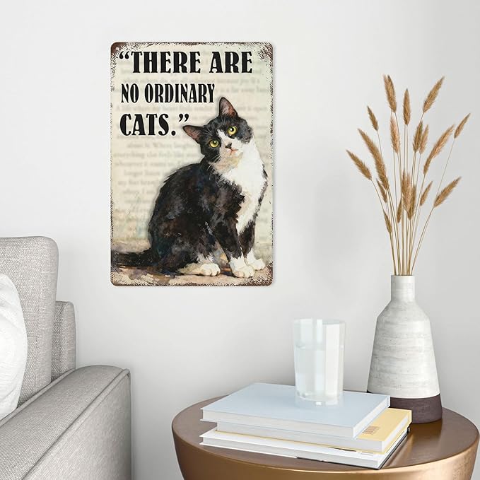 Funny Black Cat Tin Sign ‘There Are No Ordinary Cats’ Vintage Metal Wall Art 8x12 Inch Home Decor For Kitchen Bar Office For Cat Lovers Gift