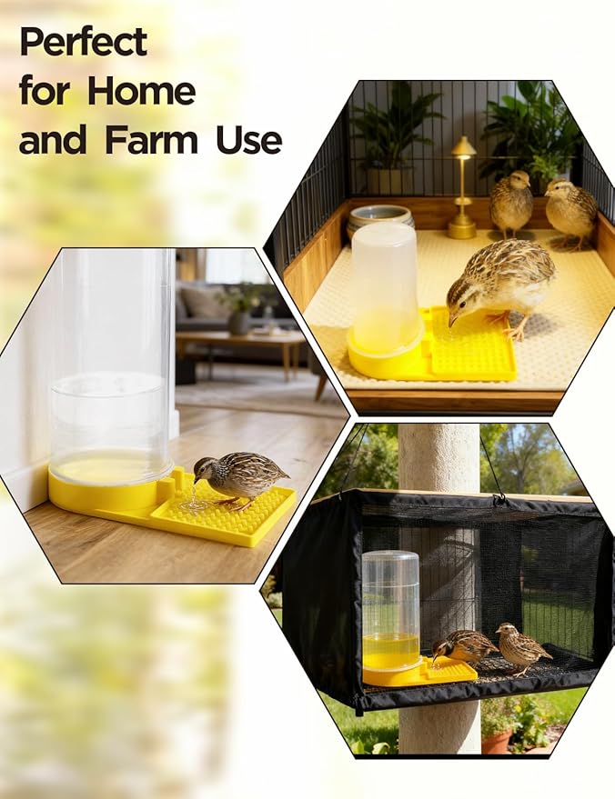 Large Capacity Quail Water Feeder,Button Quail Supplies for Quail Cage, Multi-Use as Quail Feeder, Quail Waterer, Chick Waterer,Baby Chick Waterer, Ideal Quail Feeders for Baby Bird