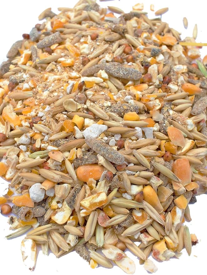 Pampered Chicken Mama Backyard Chicken Feed with Black Soldier Fly Larvae Grubs Soy Free & Herbs (20 Pounds) Layer Pellets: High Protein All-Natural Grower Feed Supplies for Laying Chickens