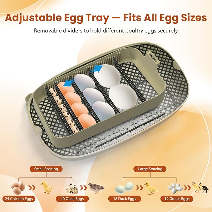24 Egg Incubator with Humidity Display & Candler, Automatic Adjustable Turner, Temp & Humidity Control, Auto Water Refill – Large Capacity Hatcher for Chicken, Duck, Goose, Turkey, Quail