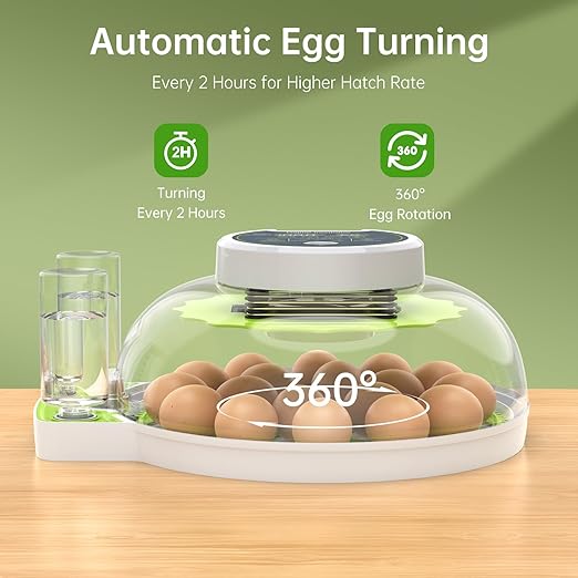 8 Egg Incubator with Automatic Egg Turning, Temperature & Humidity Control, Egg Candler, Mini Digital Incubator for Hatching Chicken Duck Quail Goose Bird – Home & Classroom Use