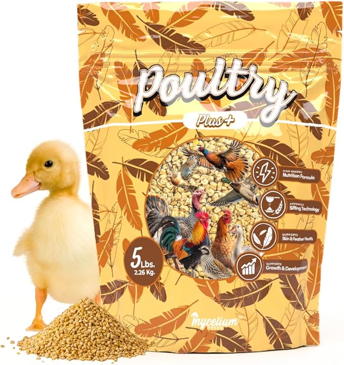 Mycelium Poultry Plus Feed (5 LB Bag) | Organic Poultry Food for Chickens, Ducks & Game Birds | Supports Growth, Feather Health & Energy | High-Protein, Omega-Rich Scratch Mix | USA Made, Non-GMO