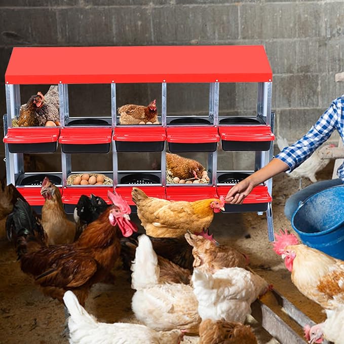 Chicken Nesting Box,Nesting Boxes for Chickens,Roll Away Nesting Boxes,10 Hole 2 Layer Hen Nest Boxes with Legs,Chicken Nesting Boxes,Easy Egg Collection,Cleanable Pull Out Hen Roosting Boxes