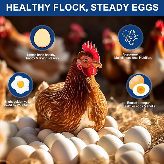 BARAVI Hen Digestive Supplement - 7.05OZ | Probiotics, Digestive Enzymes & Electrolytes | Essential Vitamins for Adult Poultry Health