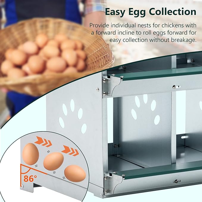 4 Compartment Chicken Nesting Boxes, Metal Nesting Boxes Wall Mount Chicken Egg Laying Box for Different Chicken Breeds (4 Holes)