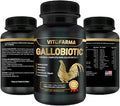 Gallobiotic Natural Multivitamin for Rooster, Hens - 100 Tablets | Vitamina Completas para Gallos