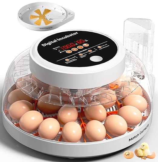 Upgraded Egg Incubators for Hatching Eggs, 22 Egg Incubator with Automatic Egg Turning, Temperature Control & Humidity Display, LED Candler, Incubator for Chicken, Duck, Quail Eggs