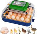 Incubators for Hatching Eggs, 25 Egg Incubator with Automatic Egg Turning and Humidity Control, Temp Control, Hatch Day, 360° Viewing for Chicken, Duck, Quail Eggs, Ideal for Farm, School and Lab