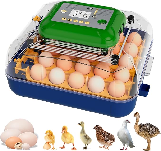 Incubators for Hatching Eggs, 25 Egg Incubator with Automatic Egg Turning and Humidity Control, Temp Control, Hatch Day, 360° Viewing for Chicken, Duck, Quail Eggs, Ideal for Farm, School and Lab