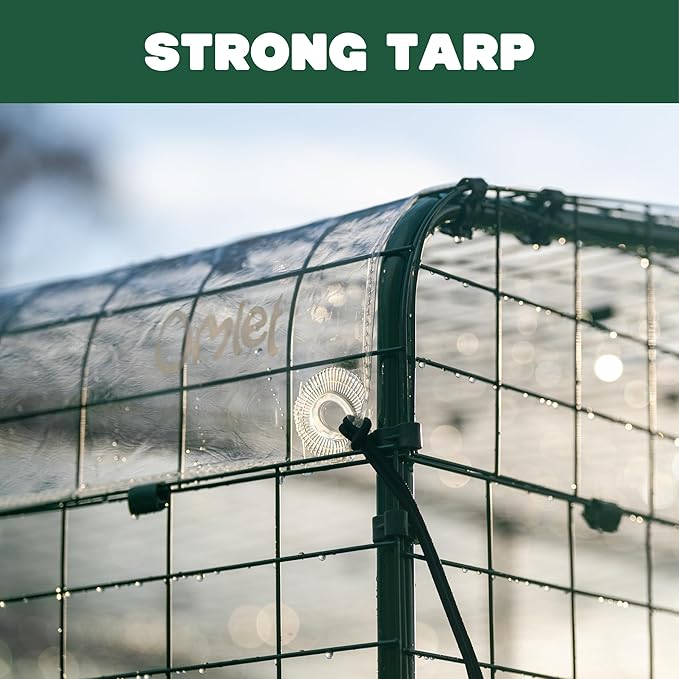 Omlet Clear Chicken Run Tarp | Durable Weatherproof Cover for Poultry Runs | Full Protection from Rain, Wind & Snow | Includes Bungees | 6ft x 6ft
