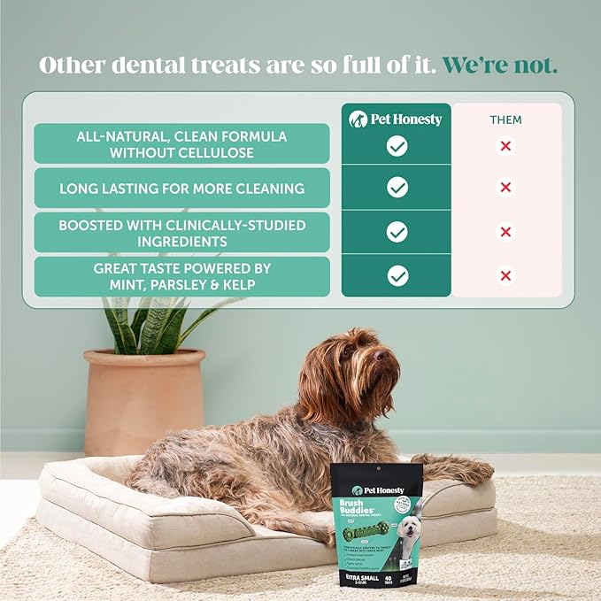 Pet Honesty Brush Buddies All Natural Dog Dental Treats for Dogs – Long Lasting Dental Sticks for Dogs, Teeth Cleaner, Breath Freshener, Plaque & Tartar Remover – Extra Small Dogs (40 Count)