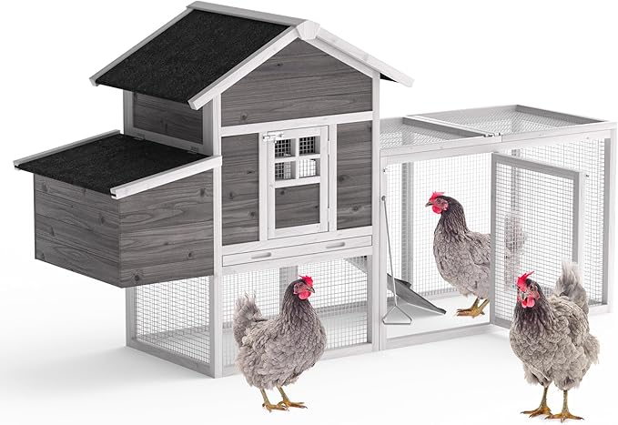 GOJOOASIS Chicken Coop for 2-4 Chickens Outdoor Grey Wooden Hen House Poultry Cage w/Wire Fence, Ramp, Nesting Box, Tray, Roosting Bar, 4 Access Areas (E)