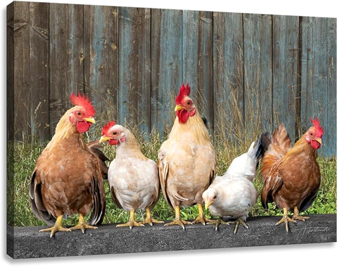 Woxfcart Kitchen Chicken Decor Wall Art, Farmhouse Rustic Barn Animal Canvas Pictures with Wood Background for Bathroom Bedroom, 36 x 24 Inch