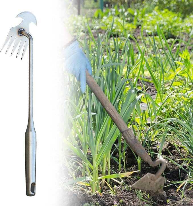 Weeds Puller Weeding Rake, with Handle, Uprooting Garden Weeding Tool Stainless Steel for Lawn Farm Outdoor Backyard, 5 Teeth, 37.5cmx9.5cmx5.3cm
