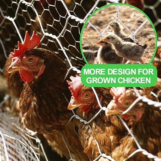 AMAGABELI GARDEN & HOME 1 inch 36inchx50ft Hexagonal Poultry Netting Galvanized Chicken Wire Mesh Fence 20gauge Large Frame with Chicken Netting Rabbits Pets Dog Cat Vegetable Garden fencing