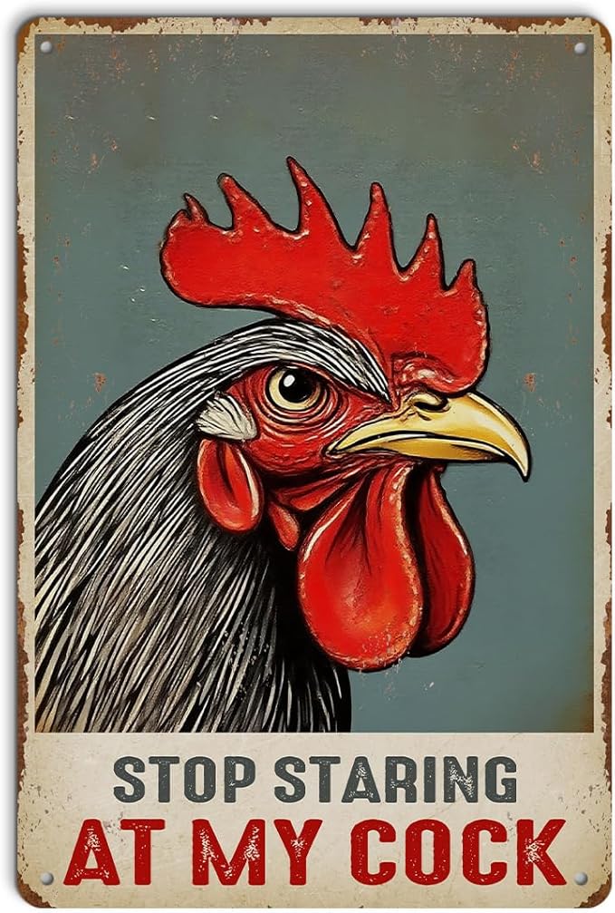 Funny Chicken Gifts for Women, Stop Staring at My Cock Aluminium Plate Signs, Humorous Chicken Decor for Home Farmhouse Coop, Rustic Wall Art Decorations 8 X 12 Inch Metal Signs