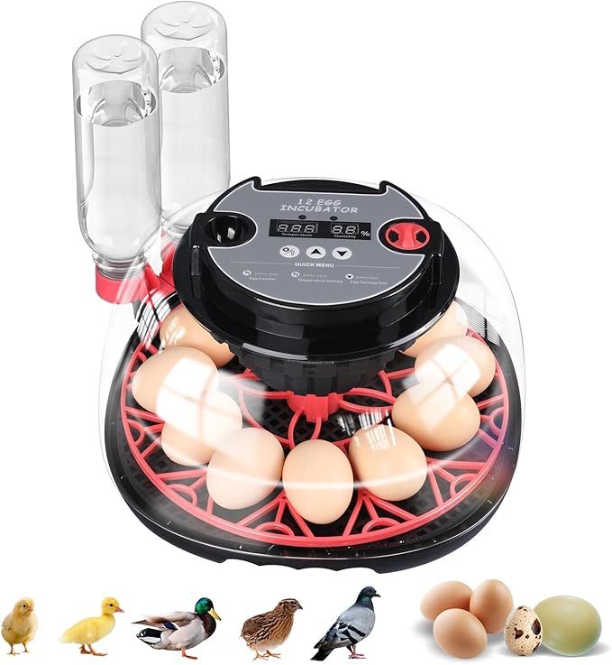 12-Egg Incubator, Automatic Egg Turning Function, Humidity Control, External Water Bottle for Watering, 360° Observation, Suitable for Chickens, Ducks, Geese, and Quails