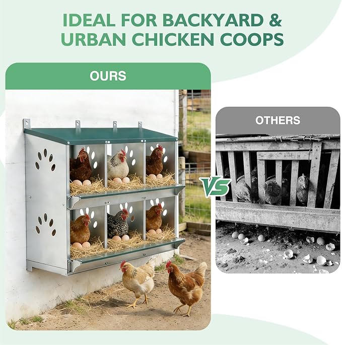 EAGLE PEAK 6-Hole Wall Mounted Chicken Nesting Box, Roll Away Hen Laying Box with Sloped Roof & Easy Clean Tray, Galvanized Steel for Backyard Chicken Coops (Green)