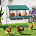 Green Chicken Nesting Box for Laying Eggs – Roll Away Poultry Nest, Durable & Easy-Clean Hen Egg Box for Coops, Secure & Comfortable (3-Hole with Legs,Green)