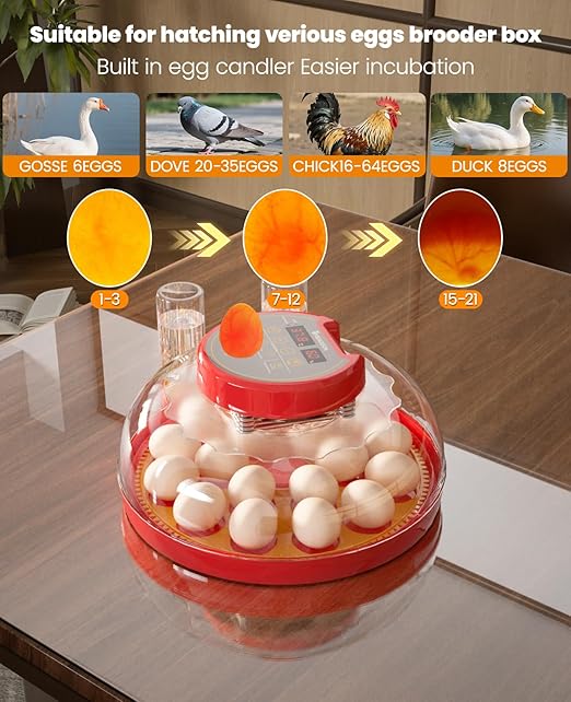 18-24 Incubators for Hatching Eggs with Automatic Egg Turning and Humidity Control Automatic Water Refill,Egg Candler Nature Right 360 Incubator Duck Quail Chick Turkey Hatching Incubator