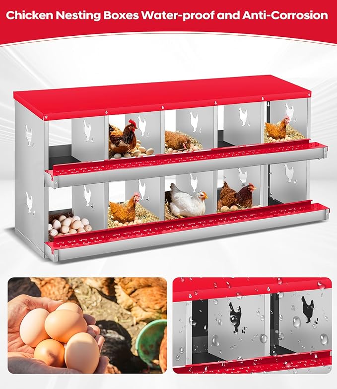 Chicken Nesting Box,10 Compartments Nesting Box for Chickens, Two-Tier Galvanized Metal Wall Mount Chicken Egg Laying Box with Large Vented Holes for Easy Egg Collection ﻿