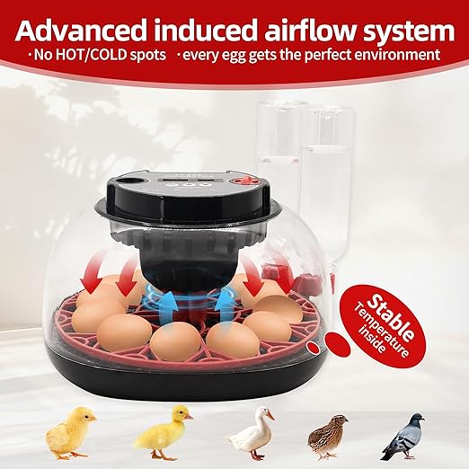 12 Egg Incubator with Humidity Display, Egg Incubator with Automatic Egg Turning and Automatic Water Bottle Refill, Chicken Incubators for Hatching Eggs, Duck Egg Quail Incubator