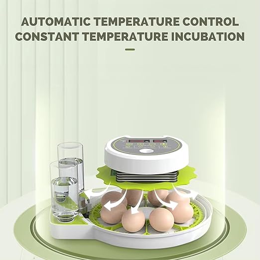 ME JO Egg Incubator for Hatching Eggs with Automatic Egg Turning & Humidity Control – Dual Power Supply Chicken Egg Incubator, Quail, Duck, Reptile Hatchery, Small Digital Smart Incubator (18 Eggs)
