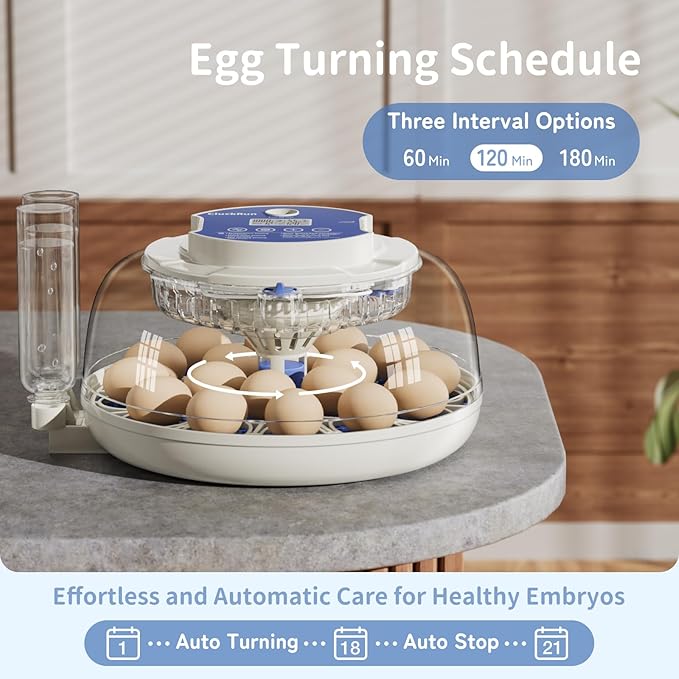 18 Egg Incubator with Incubation Day & Humidity Display, 2 Egg Trays, Automatic Egg Turning, Egg Candler, Automatic Refill, Adjustable Air Vent, for Chicken, Quail, Duck, Turkey & Goose Eggs, Lab