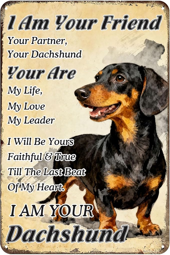 Vintage Dachshund Metal Tin Sign I Am Your Friend, Your Partner, Your Dachshund, You Are My Life Retro Rustic Wall Art For Home Bar Porch Office Dog Lover Gift 8x12 Inch