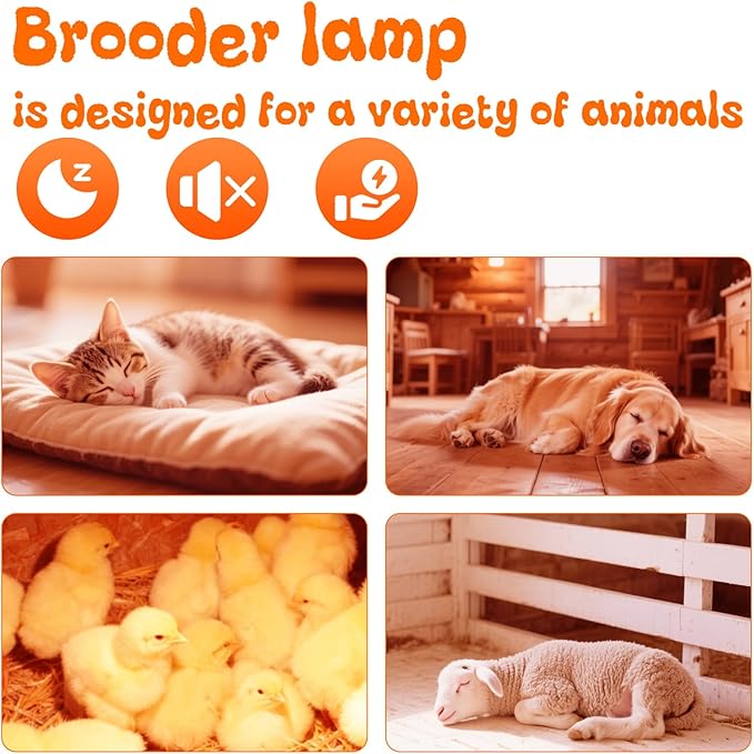Large Chicken Coop Heat Lamp with 250w Infrared Heat Bulb, Adjust 2 Mode Temperature&Hanging Height,with Aluminum Reflector for Coop Brooder,Cat,Puppy,Lamb