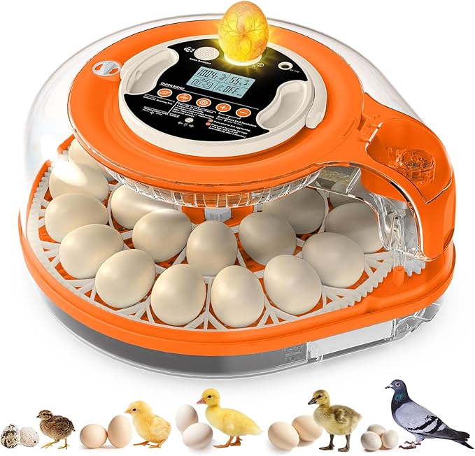 Incubators for Hatching Eggs Smart AI Voice Control 3 in 1 Auto Poultry Incubator Auto Temp Humidity Control Auto Egg Turning 26 Eggs Capacity for Farm Home Chicken Duck Quail Eggs Hatching