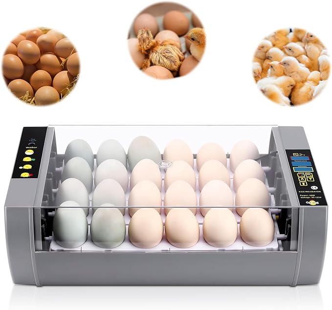 Gpeng Egg Incubator, 24 Eggs Incubator with Digital Display, Auto Egg-Turning, Auto Temperature Control, for Hatching Chicken Goose Pigeon Quail Duck