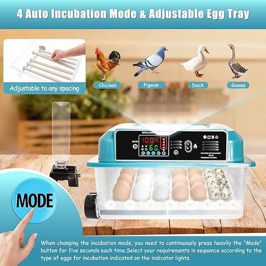 Incubators for Hatching Eggs,36 Egg Incubator,Automatic Egg Turning,Temperature & Humidity Control,Abnormality Monitoring,Egg Candle,Professional Incubator for Chicken,Duck,Geese,Quail