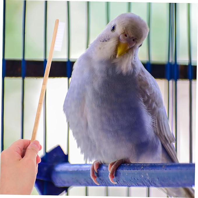 SUPVOX 2Pcs Bird Cage Cleaning Brush and Droppings Shovel Set Efficient Pet Bird Supplies for Small Animal Cage Cleaning Ensures Habitat and Promotes Bird Health