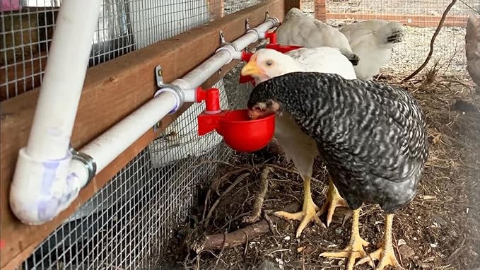 Chicken Water Cups for PVC with Tee (8 Pack), Automatic Chicken Waterer Kit for Poultry, DIY PVC Water Feeder for Chicken/Duck/Quail/Turkey